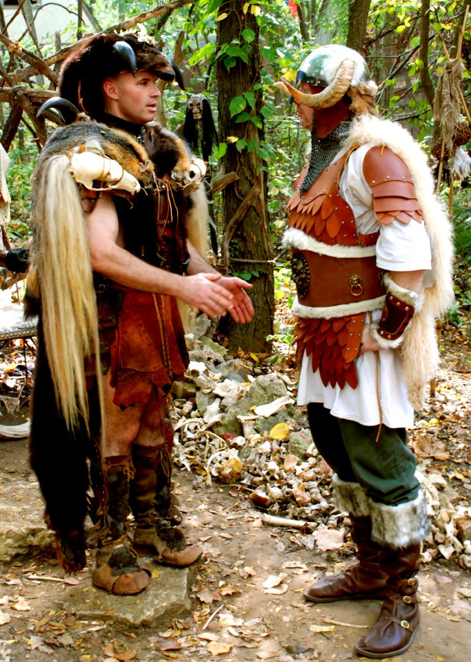 Viking ancient historical