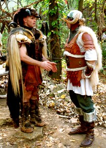Viking ancient historical