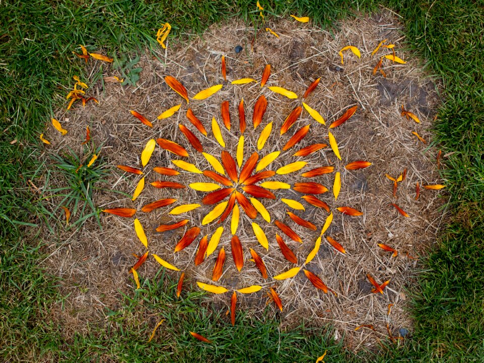 Flowers mosaic leisure