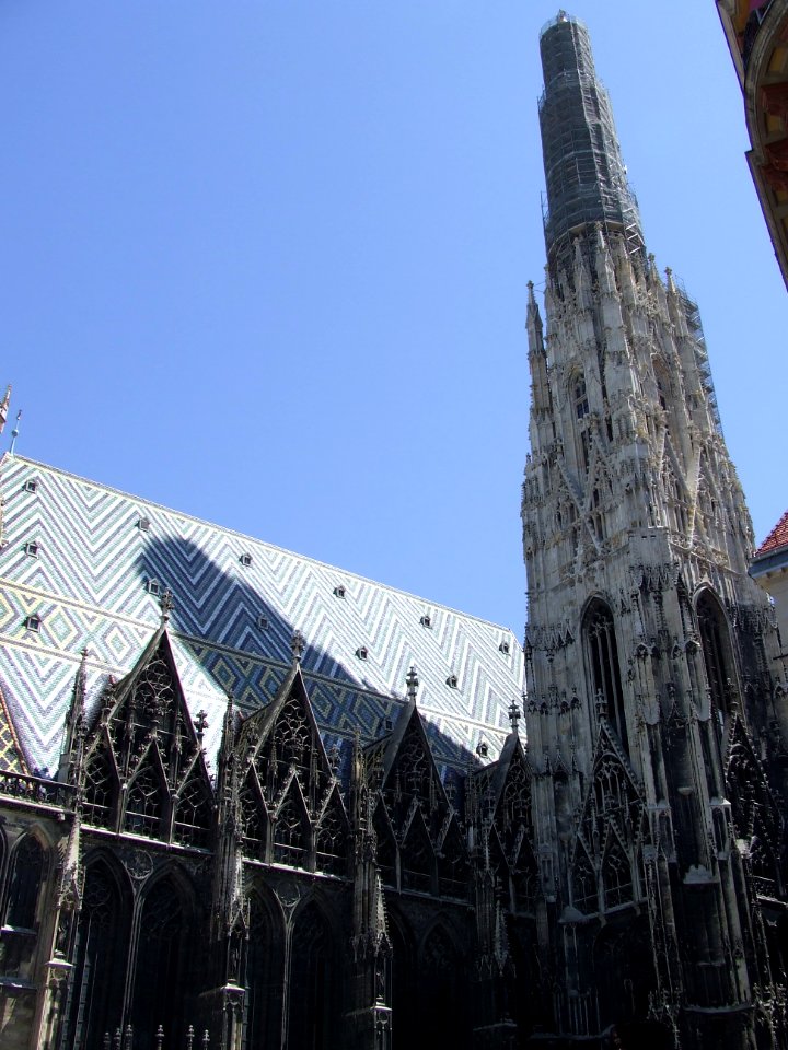 Viena