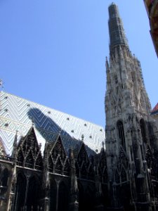 Viena