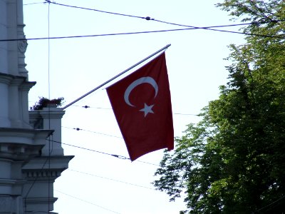 Viena