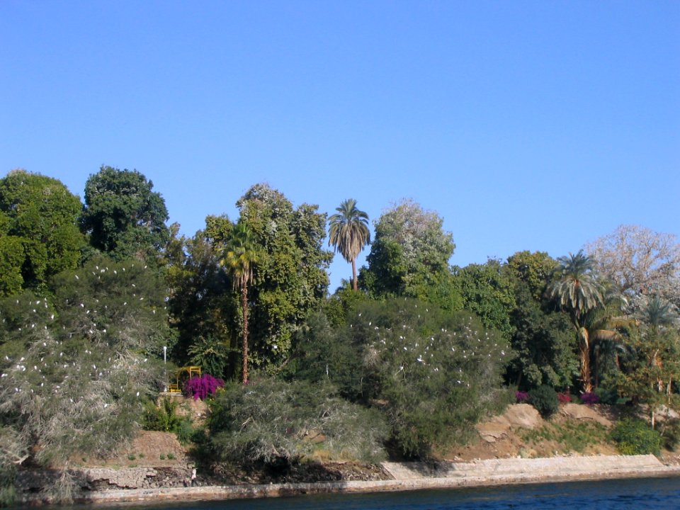 Visita a un pueblo nubio