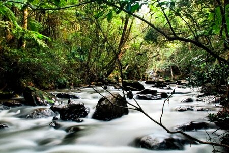 Nature rapids rio