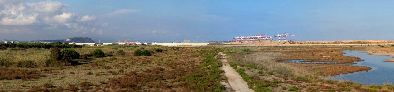 Aiguamolls Prat Llobregat