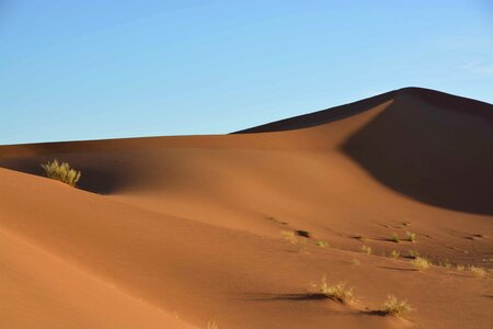 Sahara sand dune