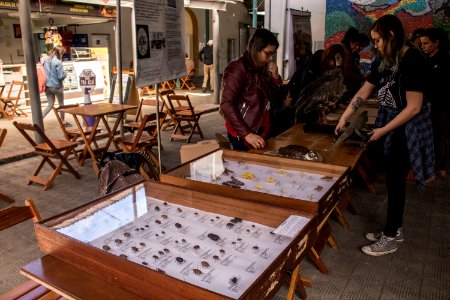 23.09.2019 Saber Ambiental no Mercado Fotos: Michel Corvello
