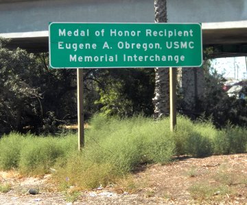 MoH Eugene A. Obregon  memorial interchange