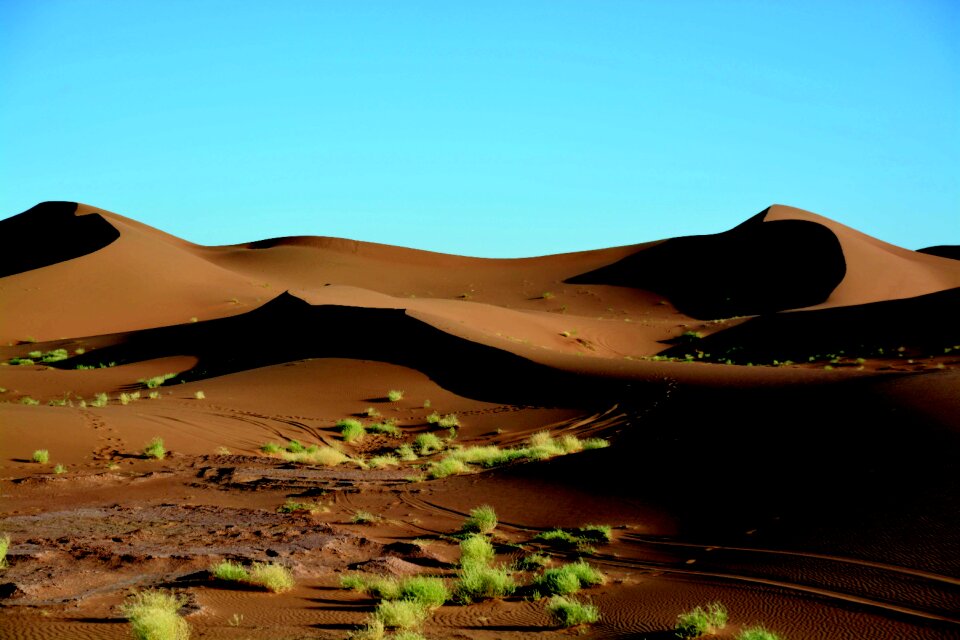Sahara sunrise dunes