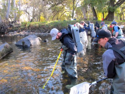 Kings River Electrofishing