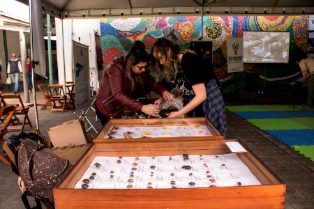 23.09.2019 Saber Ambiental no Mercado Fotos: Michel Corvello