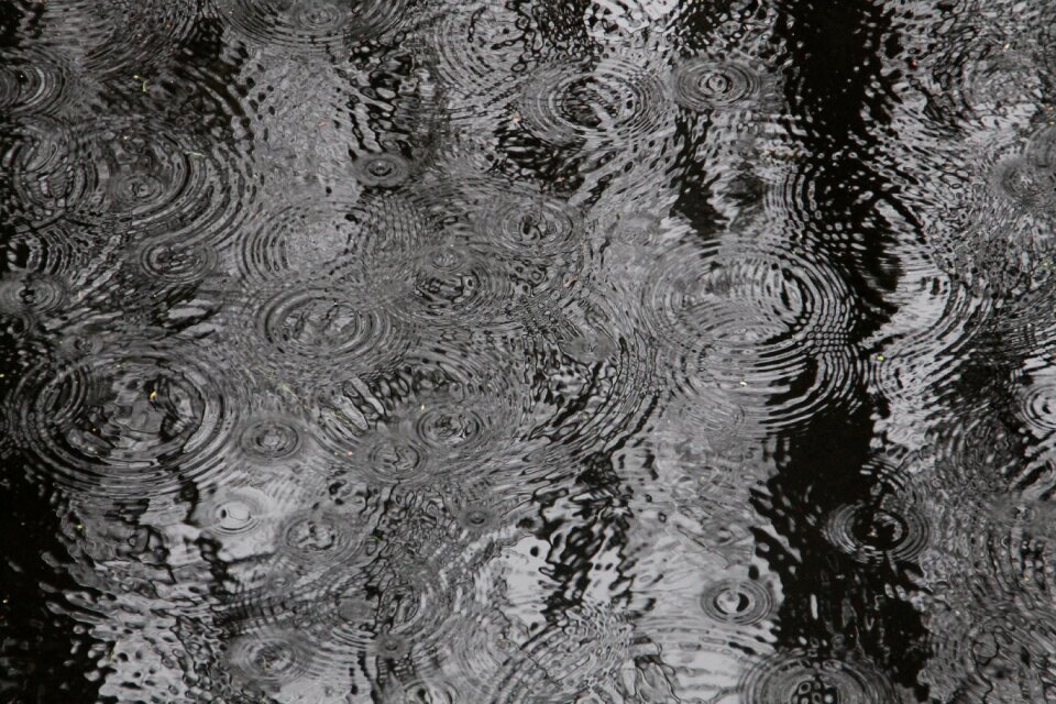 Raindrops drops of water drops