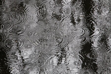 Raindrops drops of water drops photo