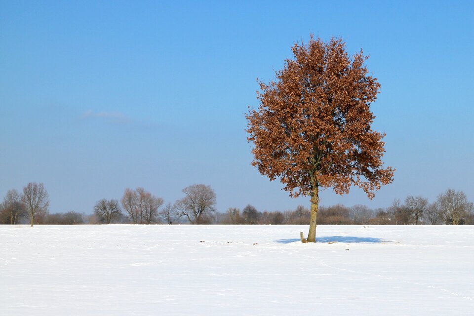 Individually wintry white