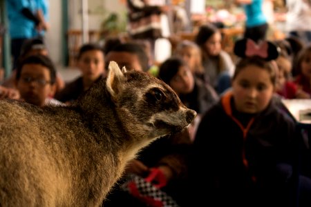 23.09.2019 Saber Ambiental no Mercado Fotos: Michel Corvello