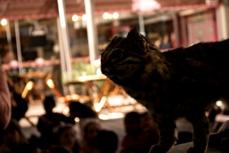 23.09.2019 Saber Ambiental no Mercado Fotos: Michel Corvello