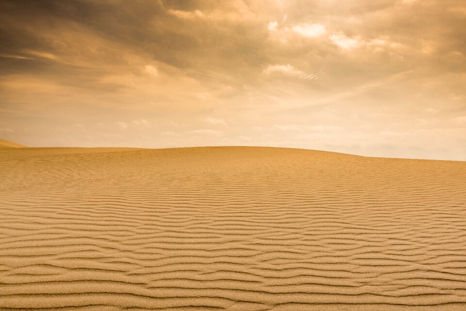 Sand pattern ripples photo