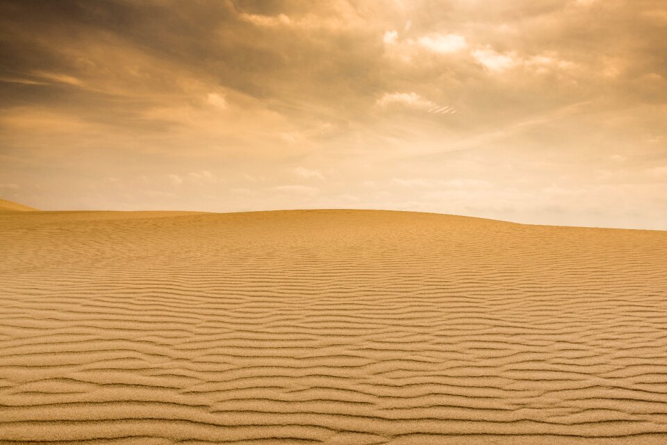 Sand pattern ripples