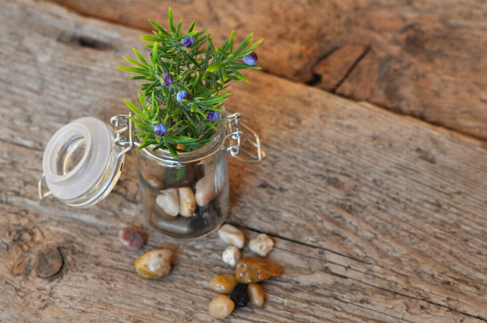 Jar stones wood photo