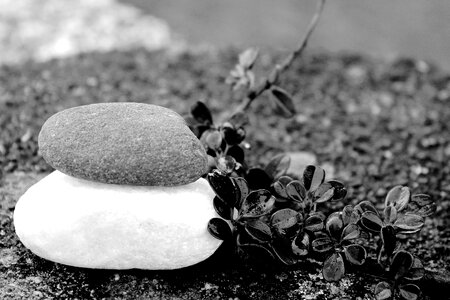 Relaxation gartendeko garden design