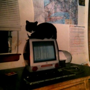 Molly, and an iMac, Circa 2001