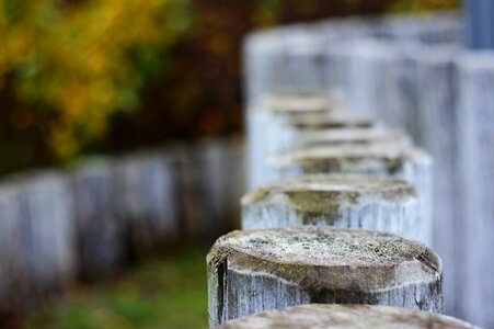Wood fence weathered lichen