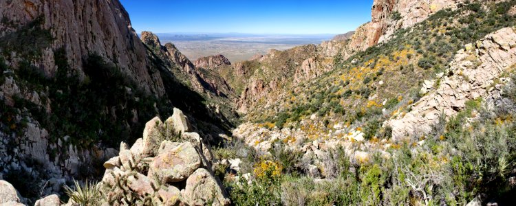 Rabbit Ears Canyon
