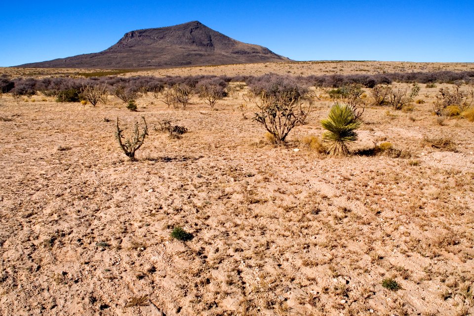 Southern Otero Mesa