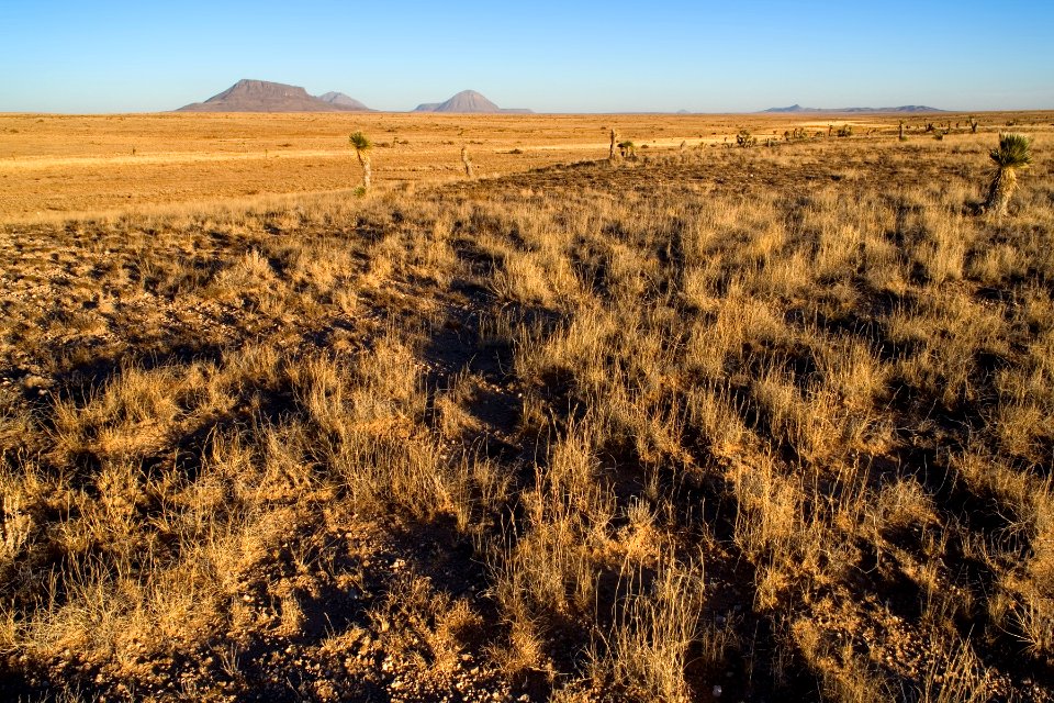 Southwestern Otero Mesa