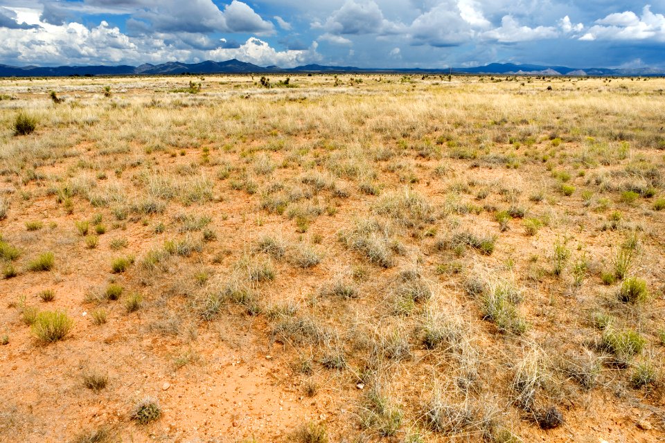 East of Lone Mountain