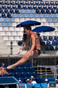 Swimming olympics diving photo