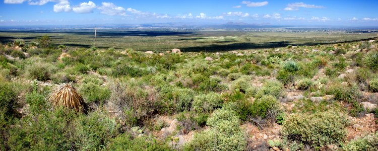 Below Rabbit Ears Canyon