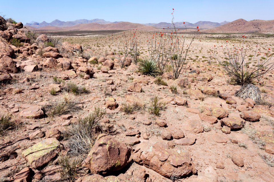 Southwest of the Alamo Hueco Mountains