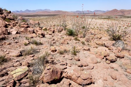 Southwest of the Alamo Hueco Mountains