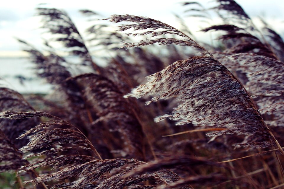 Nature landscape autumn