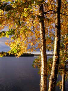 Nature autumn fall