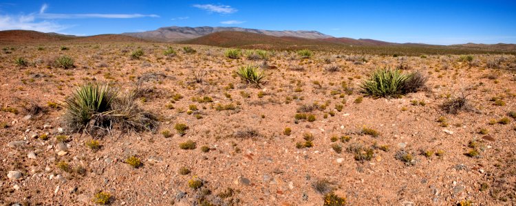 East side of the Caballo Mountains