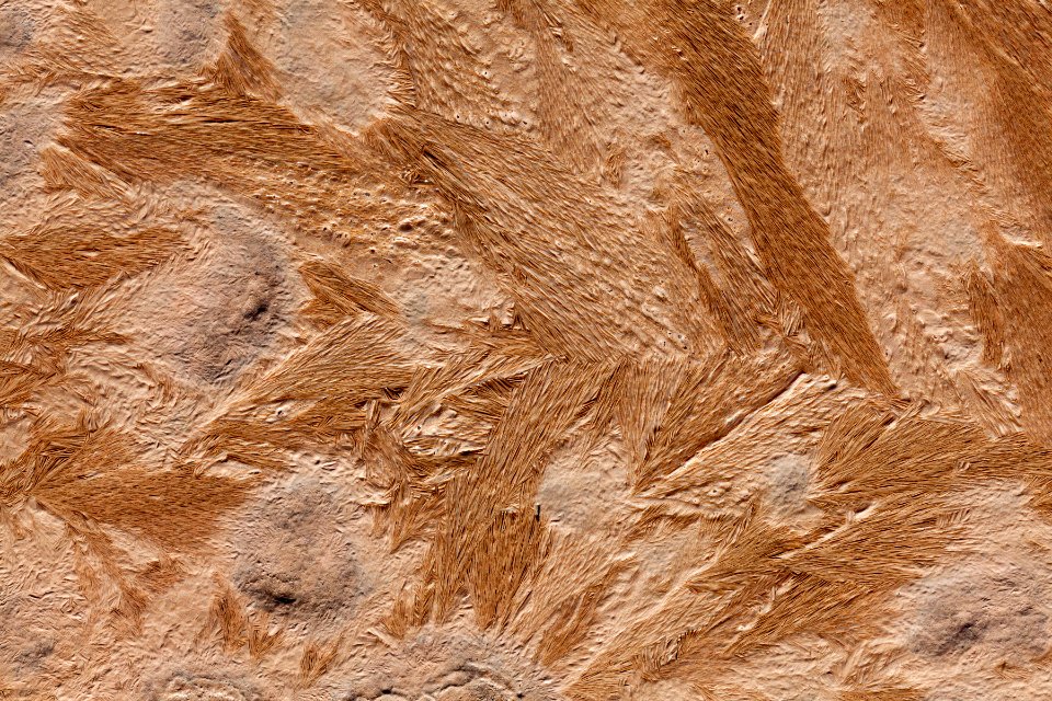Northern Lordsburg Playa