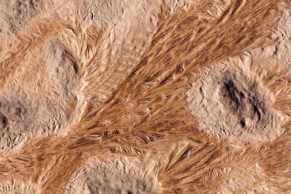 Northern Lordsburg Playa