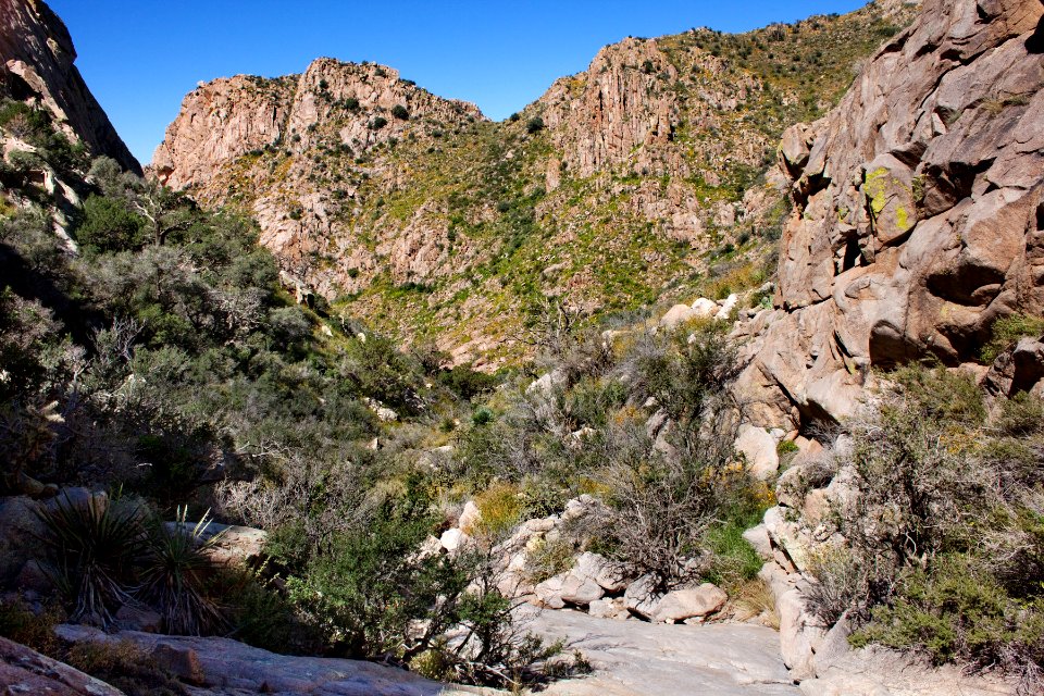 Rabbit Ears Canyon