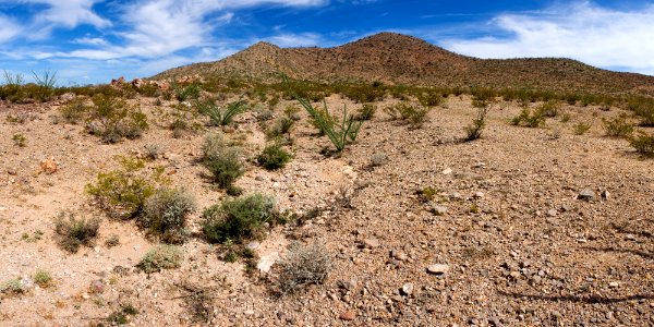 Northeast of Antelope Pass