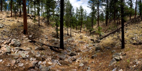 Sawmill Canyon
