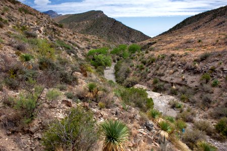 Salt Canyon