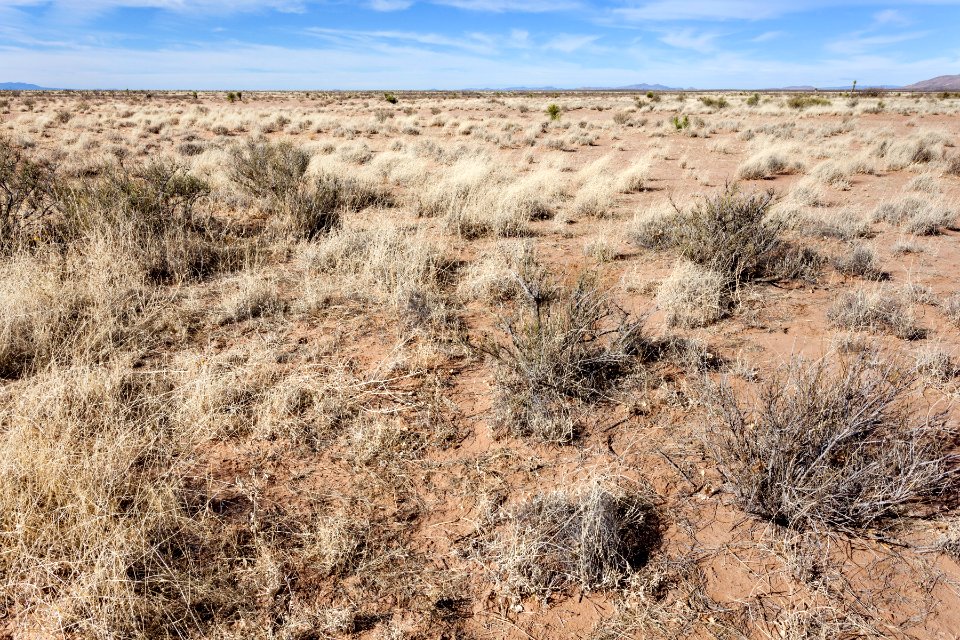 South of Goat Ridge