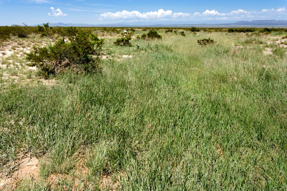 Near Buckhorn Road