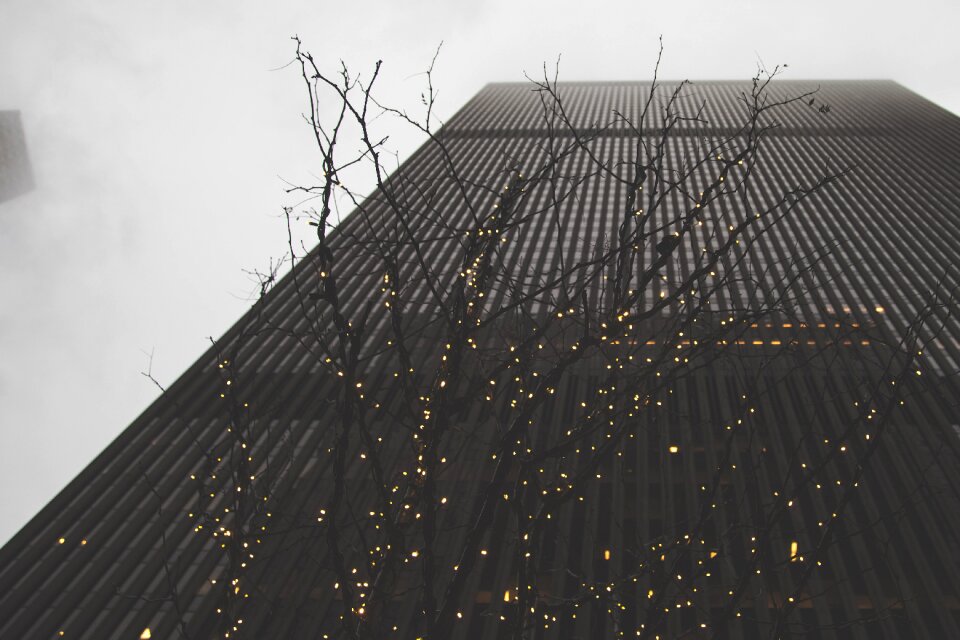 Contemporary architecture grey