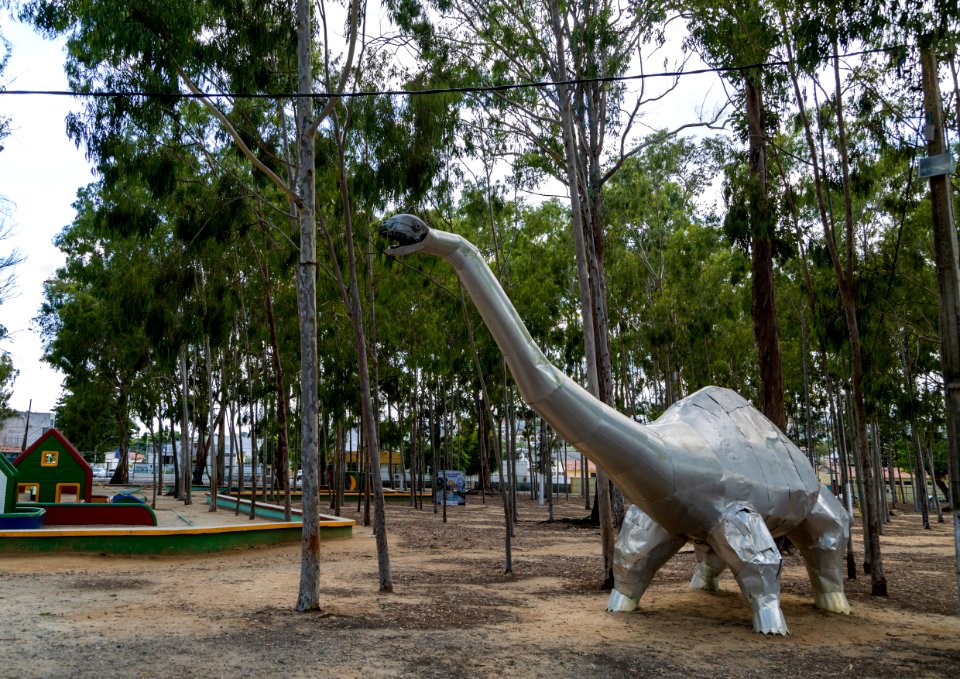 BRUNO LIMA PARQUE DOS EUCALIPTOS GARANHUNS PE
