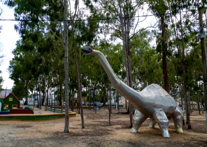 BRUNO LIMA PARQUE DOS EUCALIPTOS GARANHUNS PE