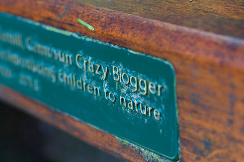 That Crazy Blogger