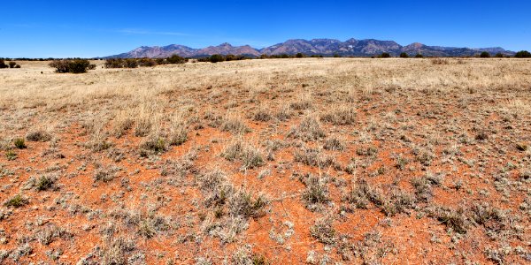 Northeast of Moon Ranch